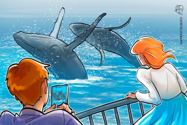 Hyperlyide whales net $ 48 million in 200% XPL Rally, amid manipulation accusations