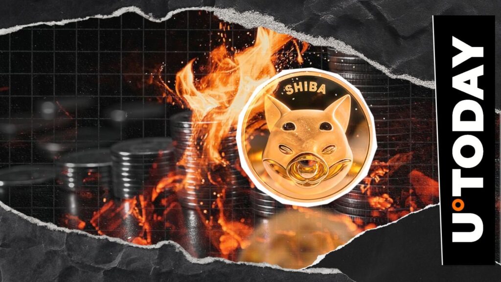 Shib Meme Coin in flames with + 3.172% growth: details Shib Meme Coin in flames with + 3.172% growth: details