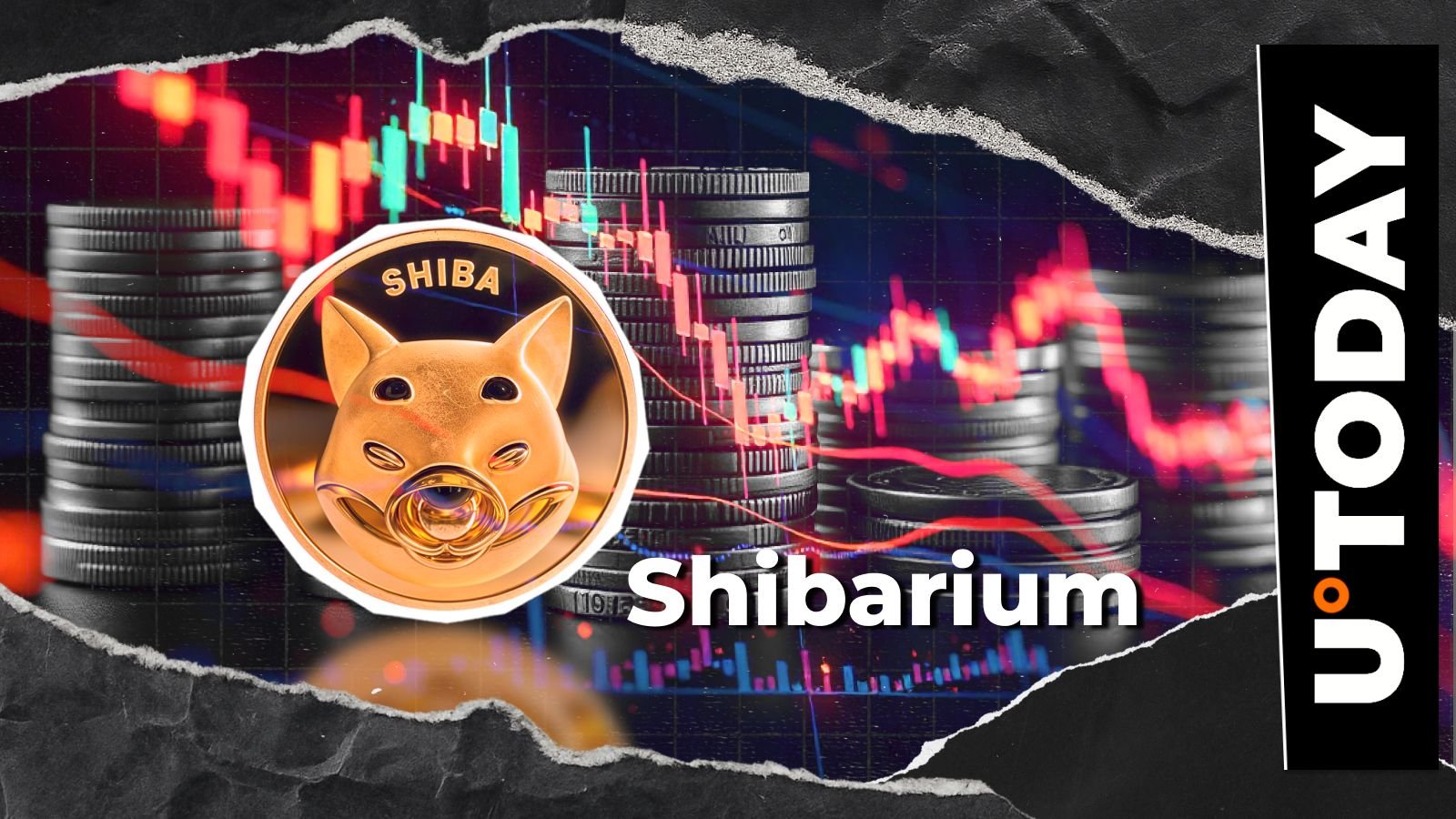 Shiba Inu: Shibarium hit with a 99.8% drop as transactions hit rare casualties