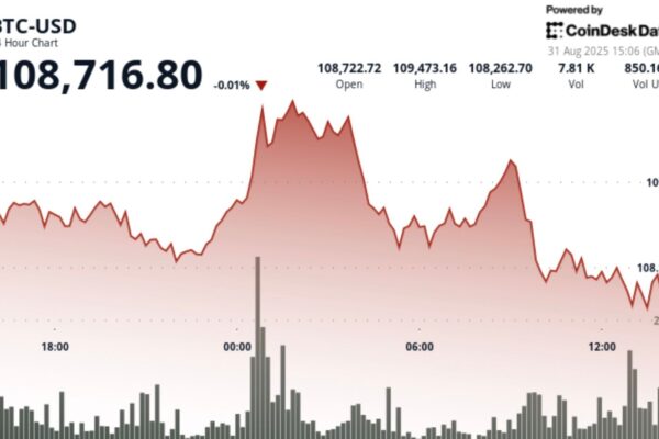Bitcoin’s post-mooring top? The analyst says that BTC demands that it exceeds the supply of more than 6x in 2025