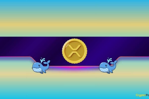 Does this crucial support finally stop XRP free fall as the undulating whales returns?