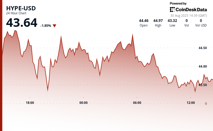 Why the Bitmex co -founder, Arthur Hayes, believes that Hype can 126x from here