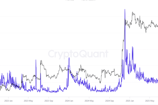 XRP pricing prediction: Is the new Altcoin market bunder, is starting with XRP?