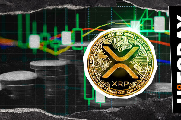 Fundamental XRP Growth: That is why it is crucial