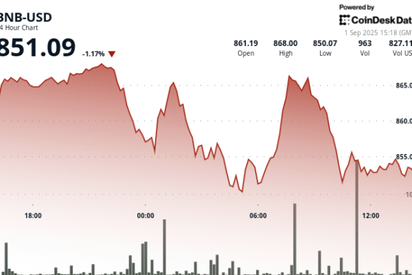 BNB slides below $ 860 as resistance is maintained and merchants prepare for US work data.