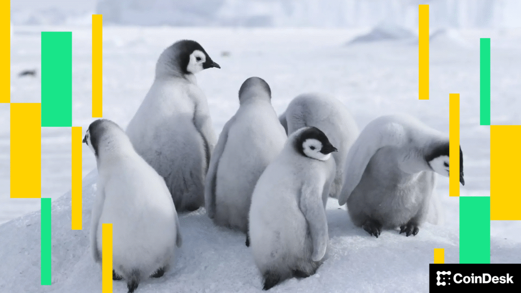 The BTC price is retired, Pengu Open Interest Surges The BTC price is retired, Pengu Open Interest Surges