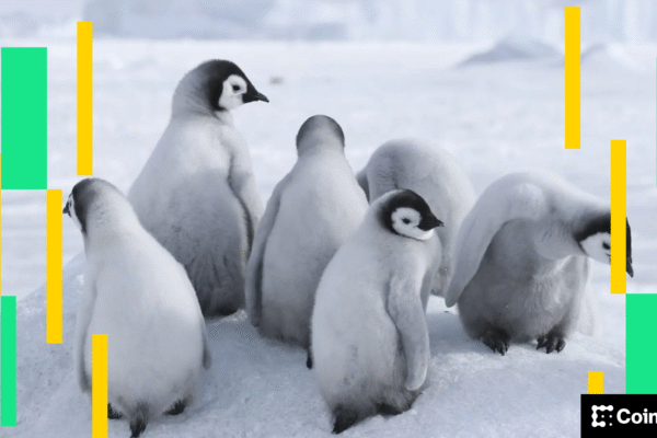 The BTC price is retired, Pengu Open Interest Surges