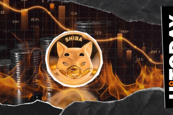 SHIB BURNS 55% collapse in the midst of the decrease in Shib’s price