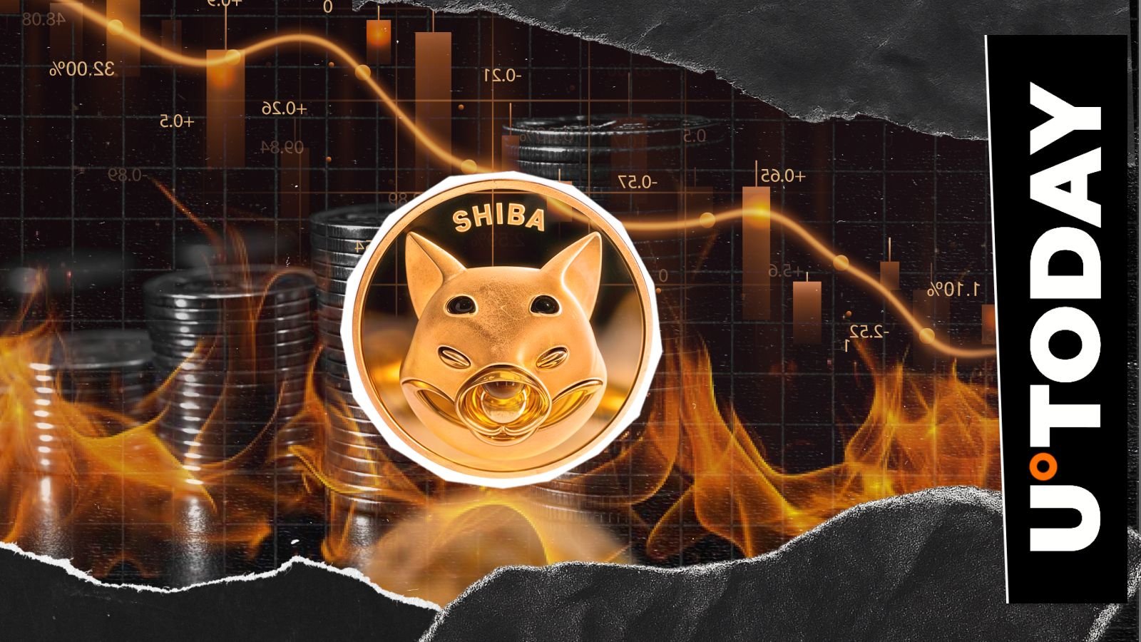 SHIB BURNS 55% collapse in the midst of the decrease in Shib’s price