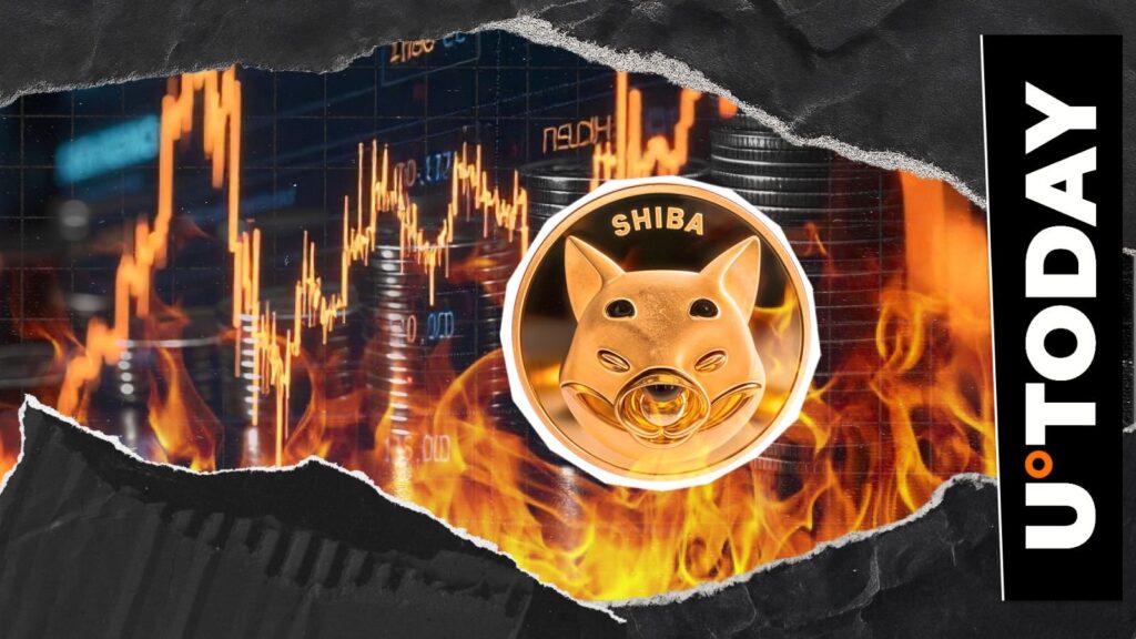 Millions of Shib Stribued in the middle of Shiba Inu Metric de Shiba Inu.