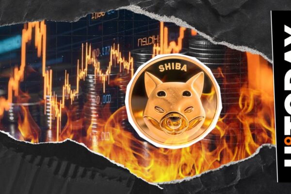 Millions of Shib Stribued in the middle of Shiba Inu Metric de Shiba Inu.