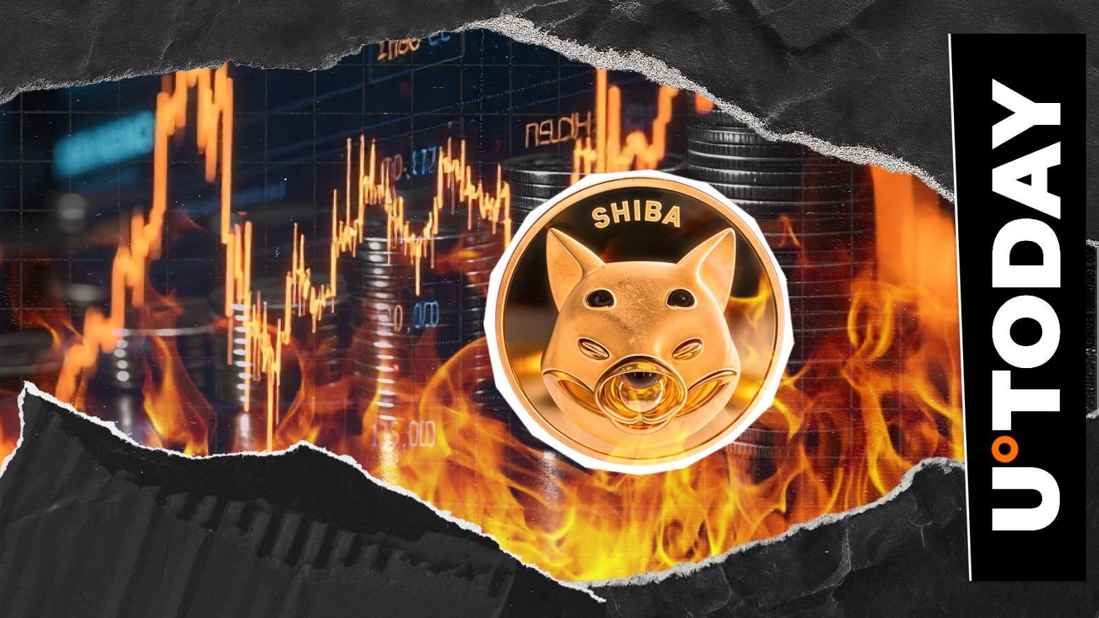 Millions of Shib Stribued in the middle of Shiba Inu Metric de Shiba Inu.