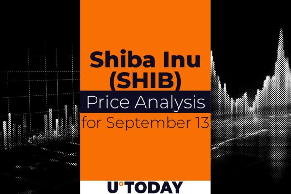 Shib pricing prediction for September 13