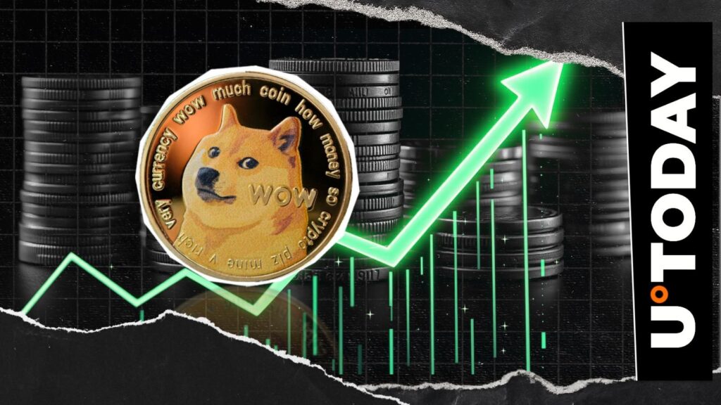 Dogecoin established to explode? The analyst predicts after 42% increase