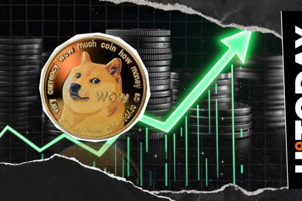 Dogecoin established to explode? The analyst predicts after 42% increase