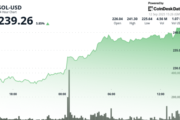 The digital Galaxy CEO explains why this is the ‘Sun season’