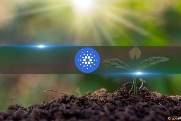 Experts say Cardano (ADA) could be starting