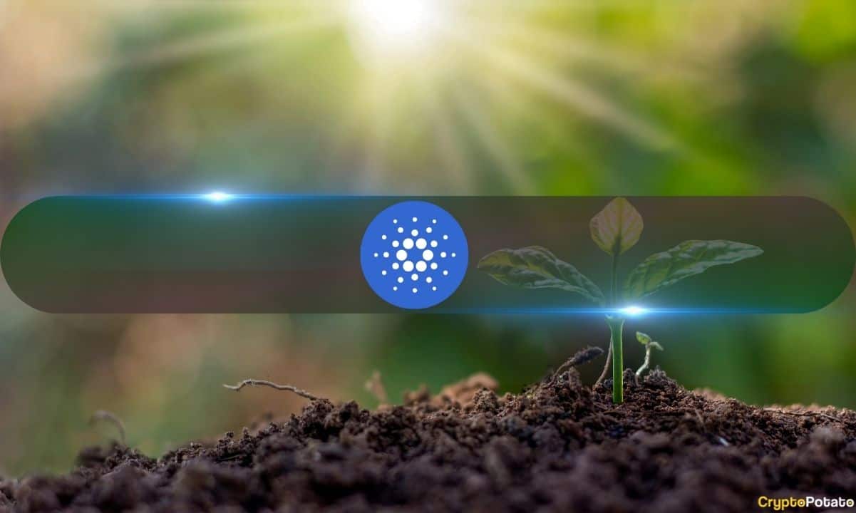 Experts say Cardano (ADA) could be starting
