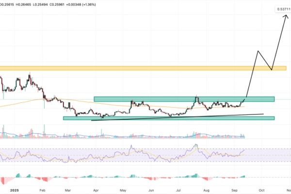 Dogecoin pricing prediction: The launch of the ETF could spark meme supcycle – Will the first to fly?