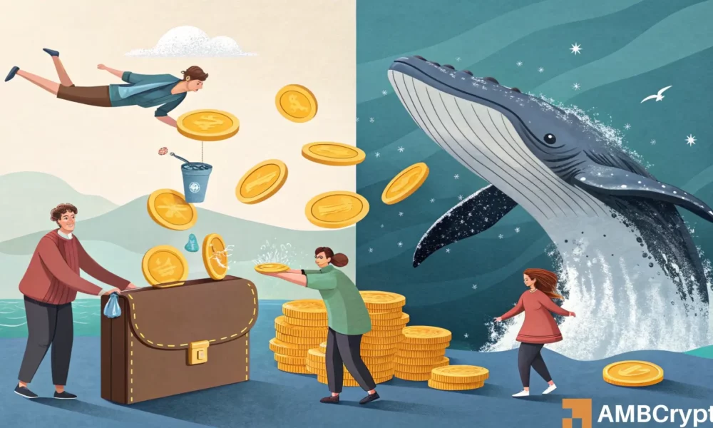 Morpho Traders, should you prepare for a possible price drop of $ 2?