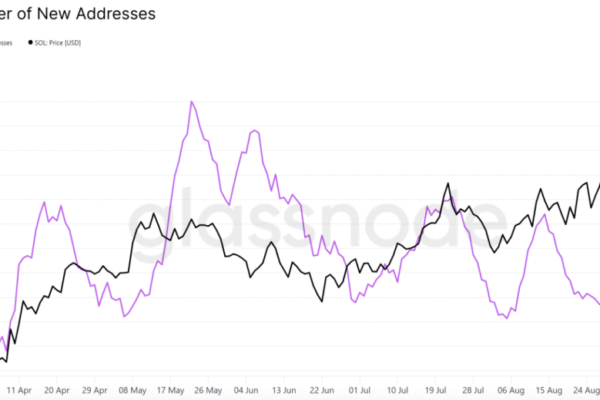 Solana pricing prediction: Sol hits 7 months tall: bulls are observing $ 1,000 below