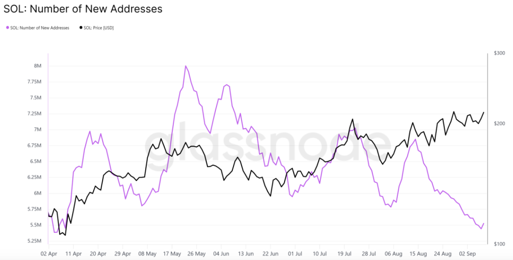 Solana pricing prediction: Sol hits 7 months tall: bulls are observing $ 1,000 below