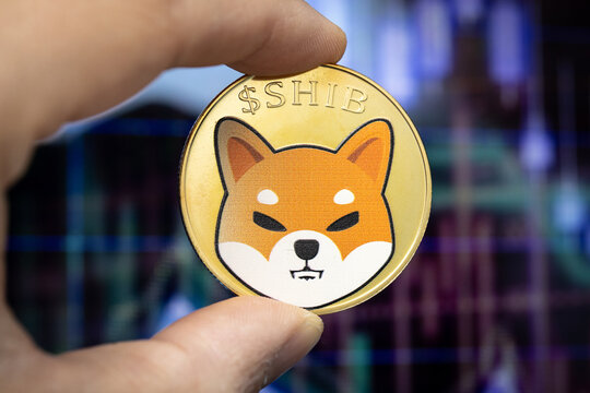 Shiba Inu flashes a rare bull reversal: Is 570% possible at $ 0.000081?