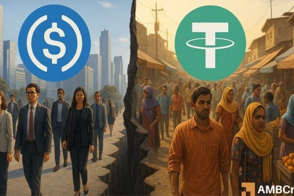 A dollar, two worlds: how Stablecoin’s adoption differs worldwide