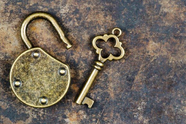 APT, Sol, Trump leads the package