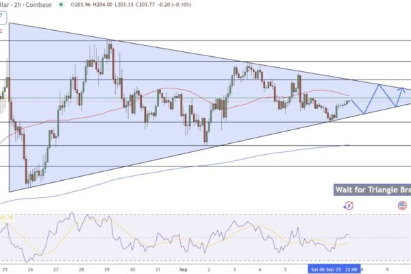 Solana pricing prediction: Can Sol keep above $ 200 and put your sights in a new historical maximum?