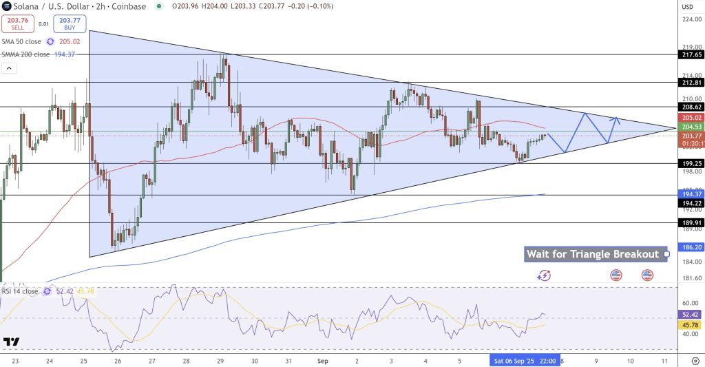 Solana pricing prediction: Can Sol keep above $ 200 and put your sights in a new historical maximum?