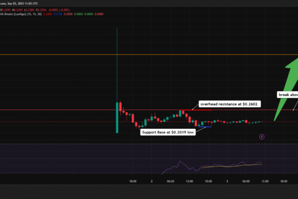 Liberty World Financial Price Prediction: Crypto Trader earns $ 250 million in 24 hours, here is why it matters