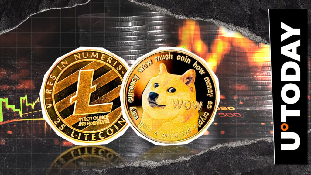 Dogecoin vs Litecoin: Top XRP Explorer triggers a great battle of public services