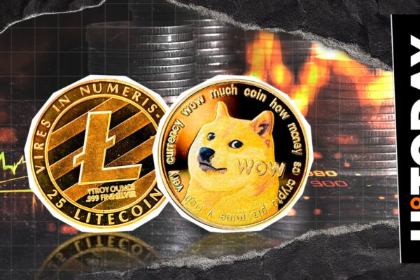 Dogecoin vs Litecoin: Top XRP Explorer triggers a great battle of public services