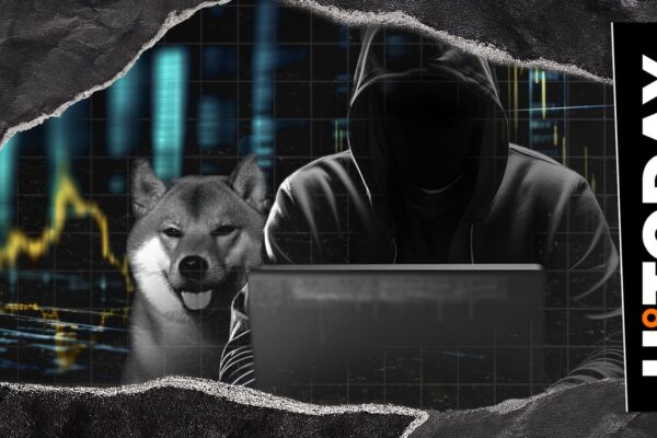 There is no word about X of Shytshi Kusama for month, but Shib Army did not fade