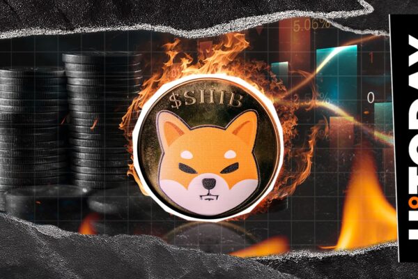 20,311,173 Shib Burn Shakes Up Network with an outstanding mass key index