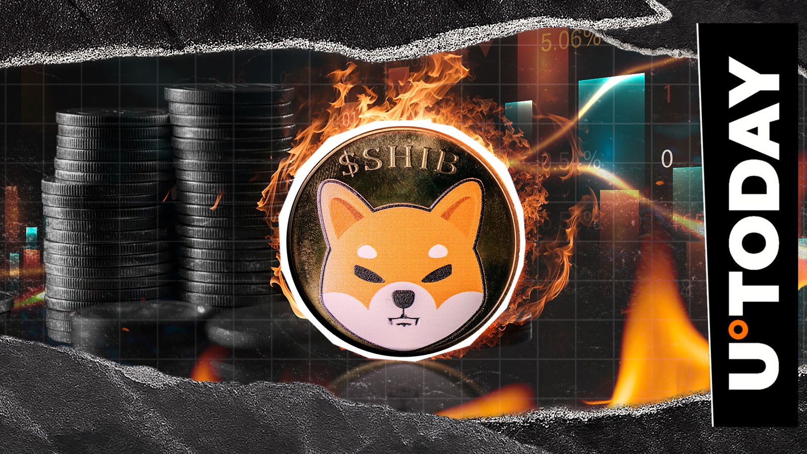 20,311,173 Shib Burn Shakes Up Network with an outstanding mass key index