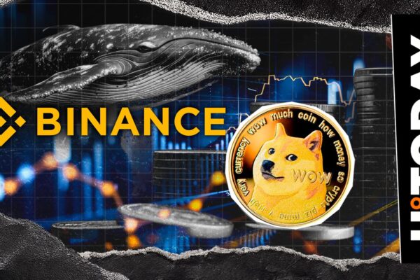 10,366,683 Lady out of Binance while Dogecoin Whale returns to Meme Coin Bull