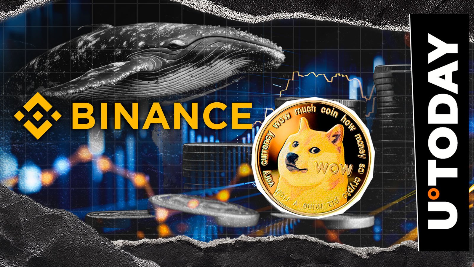 10,366,683 Lady out of Binance while Dogecoin Whale returns to Meme Coin Bull