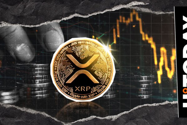 Top XRP Trader believes that the ‘prepared’ market to climb unless this happens
