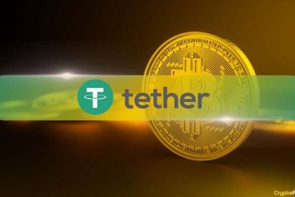 Bitcoin Holdings de Tel actually, the CEO Disunks BTC Dumping states