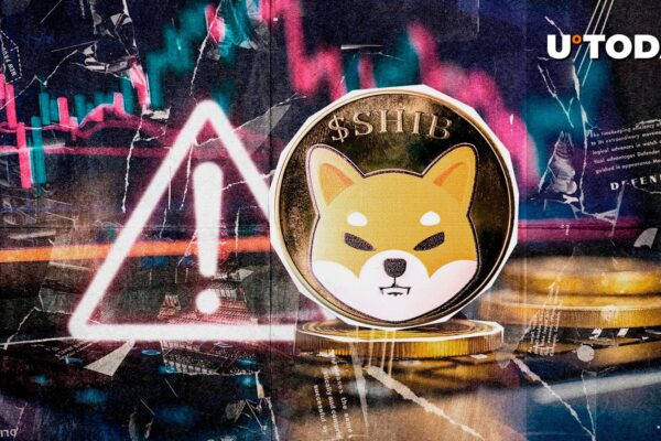 Urgent Shiba Inu Alert Issued as Fake SHIB Sites Target Wallets: Details