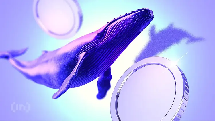 Are Ethereum whales betting on a major ETH price rally? Are Ethereum whales betting on a major ETH price rally?