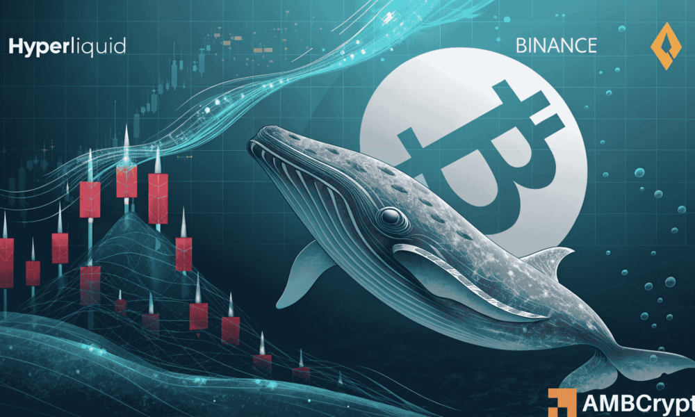 A Bitcoin Whale Just Shorted 0 Million – Is a Massive BTC Dump Coming? A Bitcoin Whale Just Shorted 0 Million – Is a Massive BTC Dump Coming?