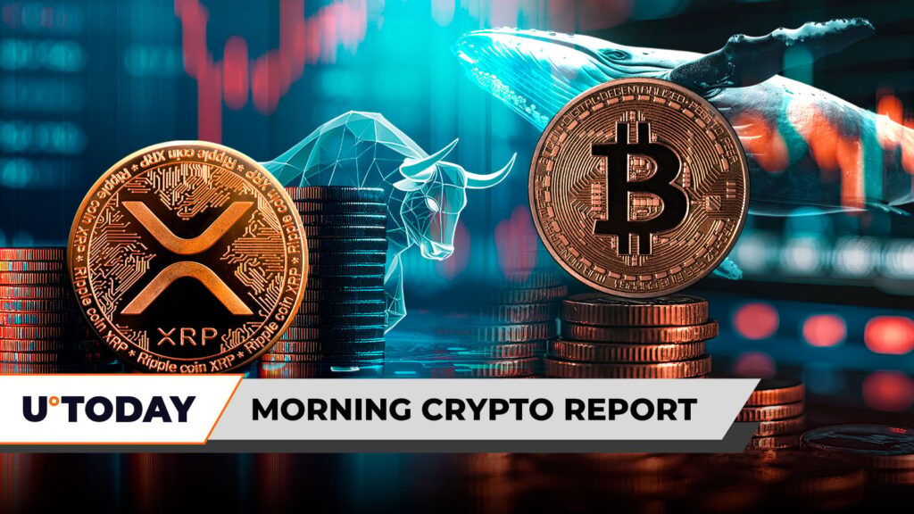 Morning Crypto Report: Free ‘Bitcoin Jesus’? XRP Bulls Crushed in Bloodbath with 3,192% Liquidation Imbalance, Whale Bets 0 Million Against BTC