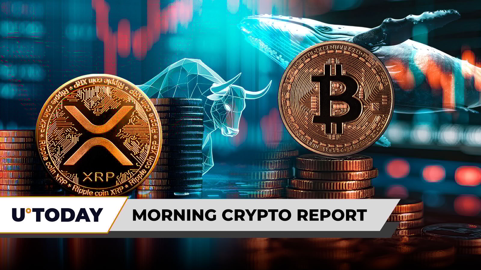 Morning Crypto Report: Free ‘Bitcoin Jesus’? XRP Bulls Crushed in Bloodbath with 3,192% Liquidation Imbalance, Whale Bets 0 Million Against BTC