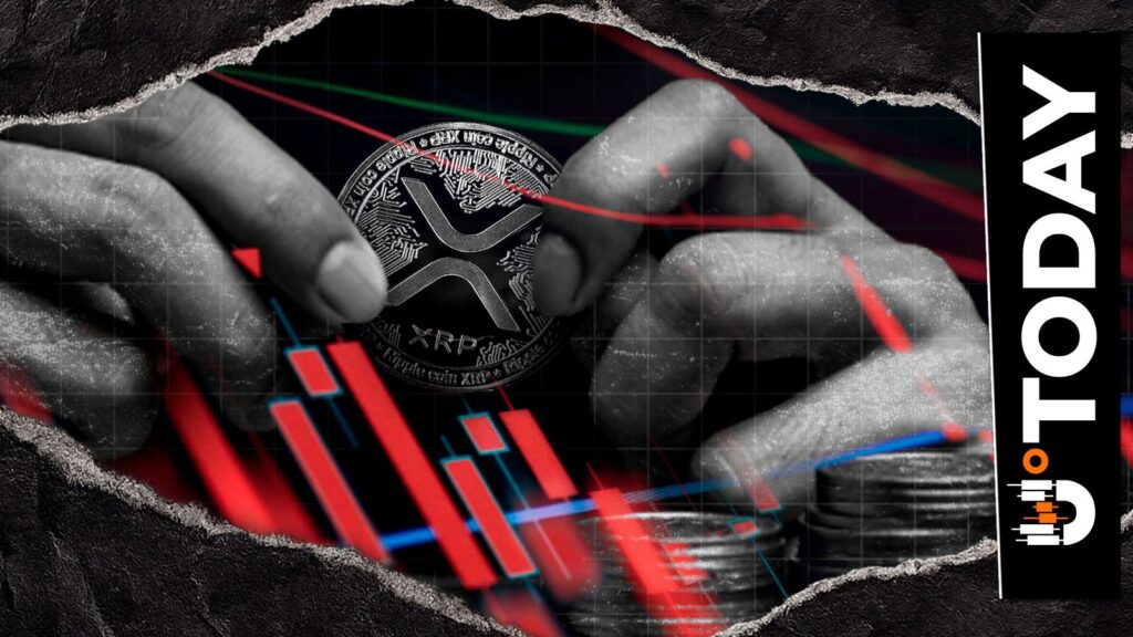 XRP Hits Rare 404% Liquidation Imbalance as Bulls Take Command