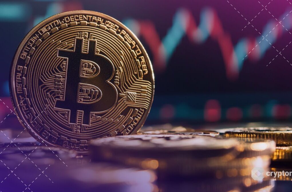 Bitcoin Aims to Recover as Chances of Federal Reserve Cuts in December Increase: Analyst