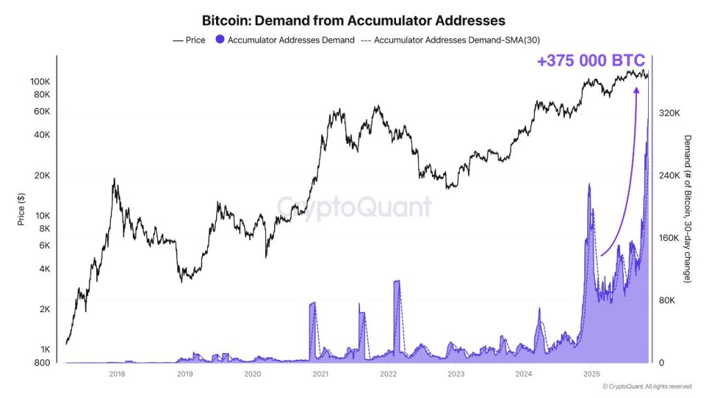 Data Shows Bitcoin Buyers Going All In at Record Rate Data Shows Bitcoin Buyers Going All In at Record Rate
