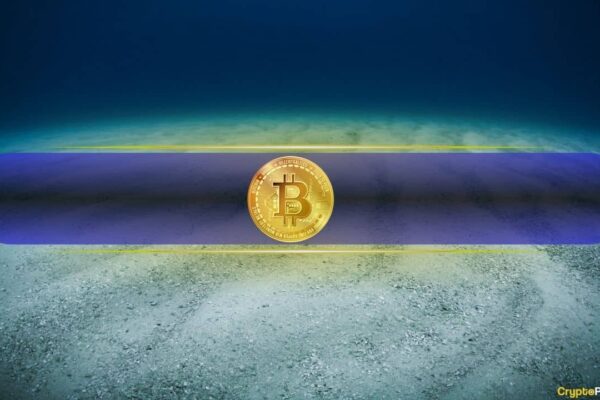 Bitcoin Stalls in Critical Stress Zone as On-Chain Data Warns Bottom May Not Have Bottomed Yet